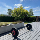 Odin High Impact Bumper Plate Vægtskive 10kg