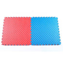Odin Floor Guards Fitnessgulv 1000x1000x40 mm Rød/Blå